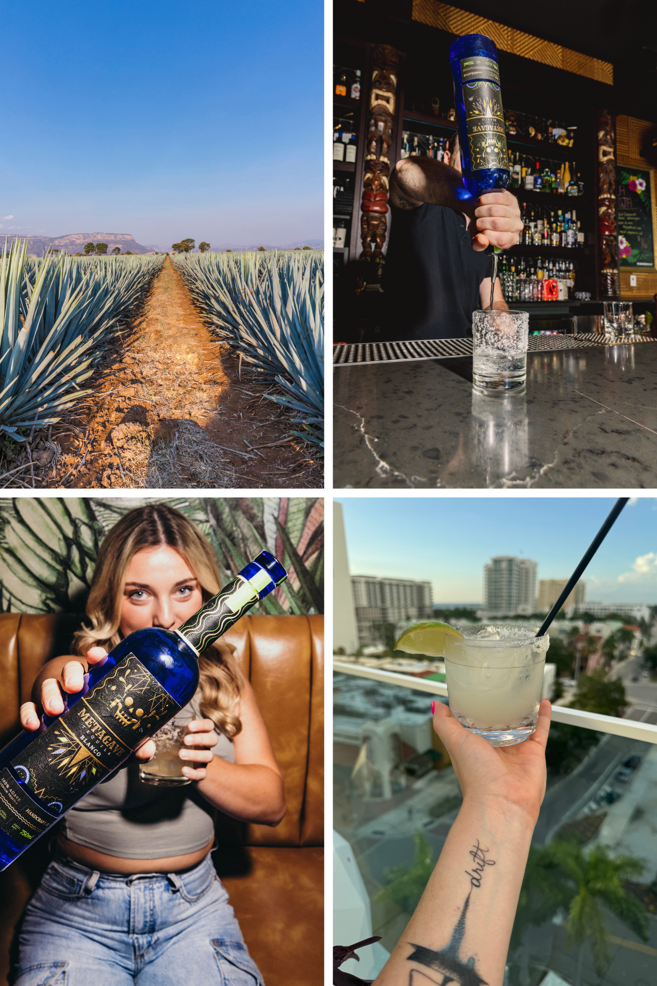 Great_time_Metagave_Tequila.png